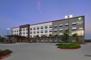 Holiday Inn Express & Suites - Houston North - Woodlands Area, an IHG Hotel